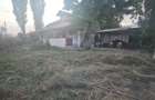 Casa de vanzare in Baldana (Tarta?e?ti) Teren 507 mp - 4