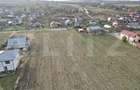 Teren, 5400 mp, Ciurea