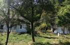 Vand teren intravilan si casa in orasul Baia de Arama - 4