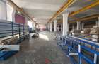 Hale noi in Baicoi, Ph--13.000mp--3e - 11