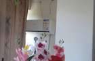 Apartament cu 3 camere Deveselu - 4