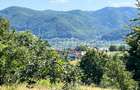 vand teren intravilan comuna Alexandru cel Bun - 6