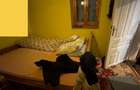 Casa pe malul Crisului - 172 mp - Ultracentral - 8
