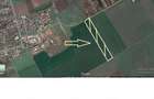 Teren 1.04 Ha Frunzane?ti (Calara?i) Orientare ideala Nord-Sud pentru Parc Fotovoltaic Tracker - 2