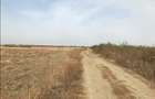 Vand 1,04 Ha Teren Agricol Arad (Santoma) Langa Autostrada A1 - 5