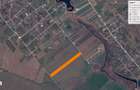 Teren intravilan 24500 mp Dascalu - Creata jud. Ilfov - 2
