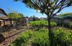 Casa in Roman, cartier Nicolae Balcescu, teren 580 mp, deschidere 14 m - 8