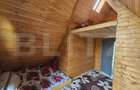 Cabana autentica cu 4565 mp teren, Liniste si Confort, Avram Iancu - 11