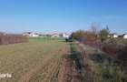 OCAZIE !!! 990 mp teren casa langa padurea Buftea - 5