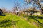 Teren intravilan 2.500 mp + 5.200 mp extravilan | Letca Veche | 27.000