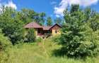Casa Naturala in Transilvania - 6