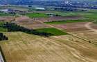 Teren 30 Hectare la Autostrada A1 BucurestiPitesti | Km 34 |