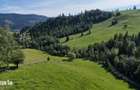 Teren intravilan de vanzare in Bucovina zona Breaza - 5