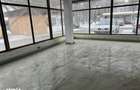 BRAILA, HIPODROM, ``GOSPODINA``, SPATIU COMERCIAL - 200 MP - 9