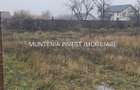 De vanzare 470 mp. intravilan, Mosoaia - 4