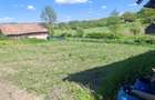 Casa de vanzare in Socolul de Campie cu teren 30 arii - 1