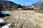 Casa de vacan?a sau locuin?a in Apuseni | 3300 mp tere - Avram Iancu (Alba) - 1