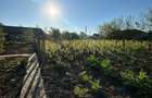 Direct proprietar: Casa demolabila + teren 1167 mp - 2