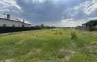 Teren intravilan 3474 mp Bradu-Auchan - 3