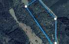 Padure 13.48 ha (134 800 m2 ) - 1