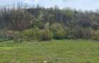 Axintele, Ialomita, vand teren intravilan - 9