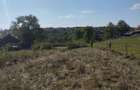 Vand teren intravilan in Vanatori,langa Ciucea 4630 mp - 1