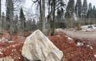 Teren unic, exclusivist 4000 mp, in inima muntilor, Sinaia - Sinaia (Prahova)