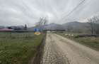 Teren 1200 mp Vadurele - comuna Alexandru cel Bun , cu utilitati - 4
