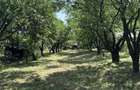 Teren Intravilan Cu Utilitati Tocile Str Stejarului Panorama Deosebita - 2