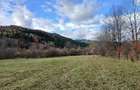 Vand teren in Sat Sulta, com. Agas, Bacau - 3