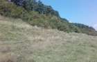 Teren, loc de casă, vânzare 3500 mp Cornesti-Bălești-Gorj, 2 euro mp