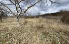 Teren intravilan in suprafata de 2000 mp, zona Episcopiei - 1