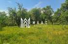 Teren | 2.547mp Intravilan/ 10.375mp Extravilan | Loamne? - 5