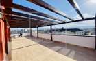 Penthouse 4 camere, 2 bai, garaj subteran, 2 terase, M. Viteazu - 12