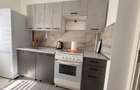 Apartament 2 camere de inchiriat zona Podu Ros - 4