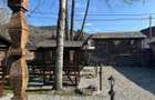 Spatiu comercial Viseu de jos - 5