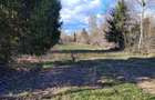 Teren de vanzare zona Manastirea Brancoveanu - 5