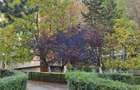 Apartament 3 camere, 92 mp | Gheorgheni - Interservisan | Bd. N. Titulescu 36