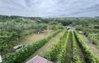 casa de vanzare P+M cu teren 3300 mp, Hidiselu de sus