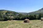 Teren intravilan in centru Garcina, jud.Neamt - 7