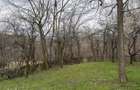 Teren intravilan 1518 mp, constructie, Sotrile, Prahova - 24 EURmp - 9