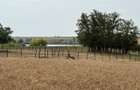 Teren intravilan Miersig, vedere la lac. 12,5 E/mp neg. Comision 0 - 5