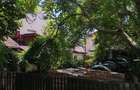 Brancoveanu, parc, Curte de 382 m, fata de 12 m cu doua case ,langa Oraselul Copiilor, Str Pomarla 13-15 - 4