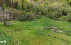 Intravilan | 10.000 mp| Satic-Rucar | Acces facil | Poten?ial excelent - 7