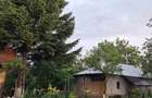 2 case de vinzare in Albele (Petru Rare?) - 1