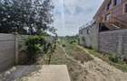 Casa Vila noua, 7 camere, 264mp, teren 1707 mp Calea Timisoarei