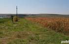 Teren de 5500 mp, în Central - 3