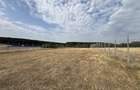 TEREN INVESTITIE | PANORAMA | 4.350 MP | SAUAIEU | BIHOR - 2