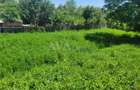 Teren intravilan 960 mp, zona Hemeius - 11