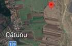 Teren de 10000 mp, în Berceni